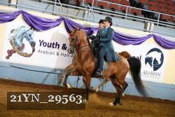 21YN_29563 thumbnail