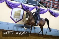 21YN_29564 thumbnail
