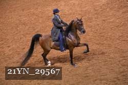 21YN_29567 thumbnail