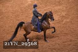 21YN_29568 thumbnail