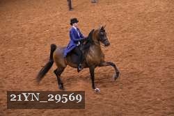 21YN_29569 thumbnail