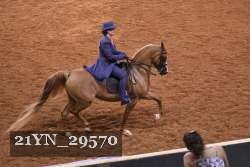 21YN_29570 thumbnail