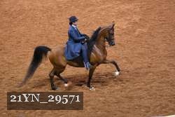 21YN_29571 thumbnail