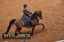 21YN_29572 thumbnail