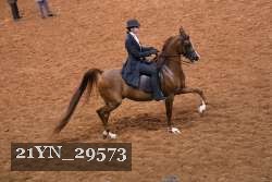 21YN_29573 thumbnail