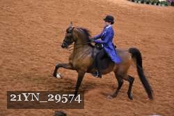21YN_29574 thumbnail