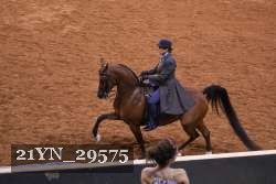 21YN_29575 thumbnail