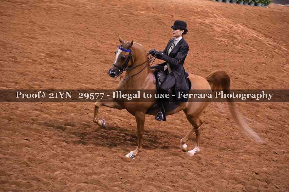 Proof Number 21YN_29577