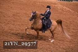 21YN_29577 thumbnail