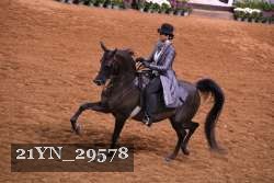 21YN_29578 thumbnail