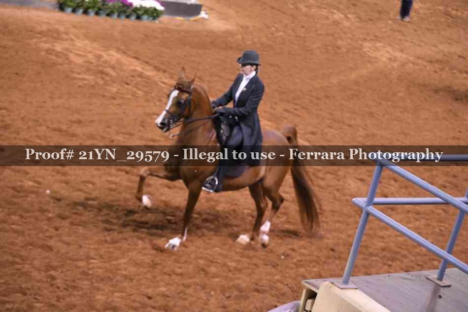 Proof Number 21YN_29579