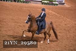 21YN_29580 thumbnail