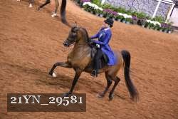 21YN_29581 thumbnail
