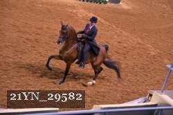 21YN_29582 thumbnail