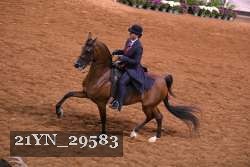 21YN_29583 thumbnail