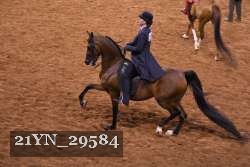 21YN_29584 thumbnail
