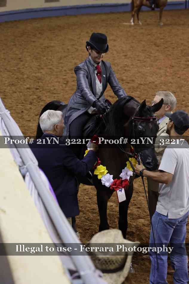 Proof Number 21YN_32217