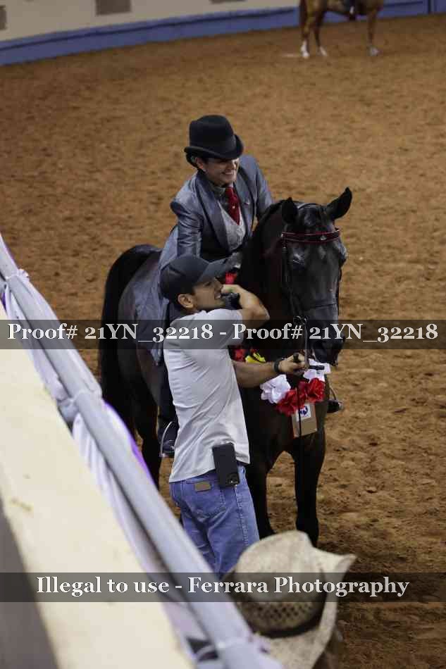 Proof Number 21YN_32218