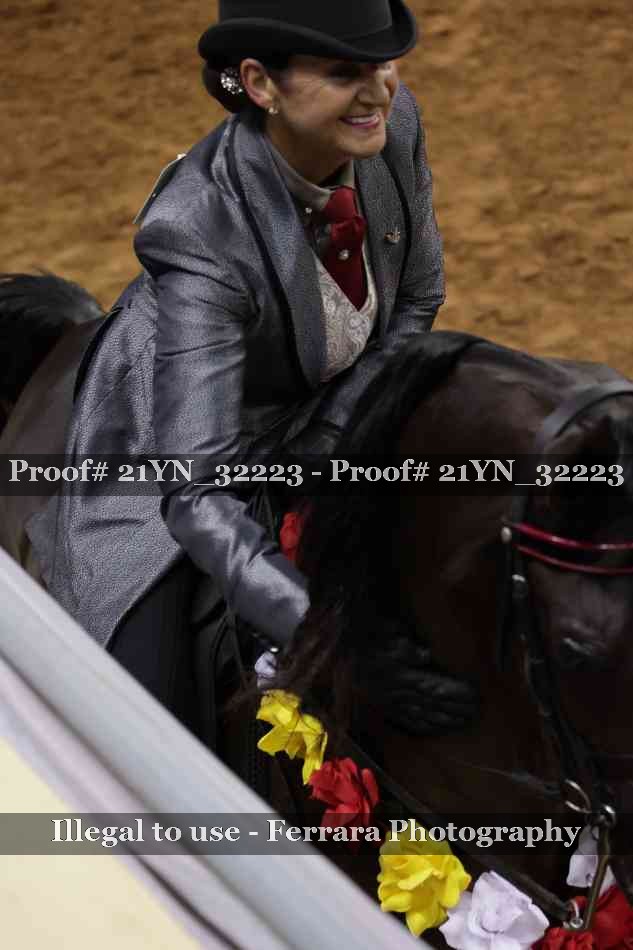 Proof Number 21YN_32223