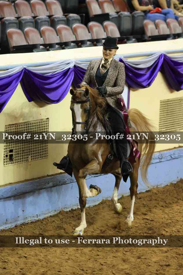 Proof Number 21YN_32305