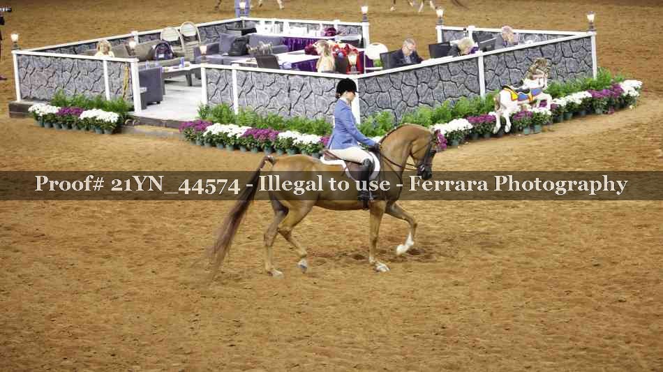 Proof Number 21YN_44574