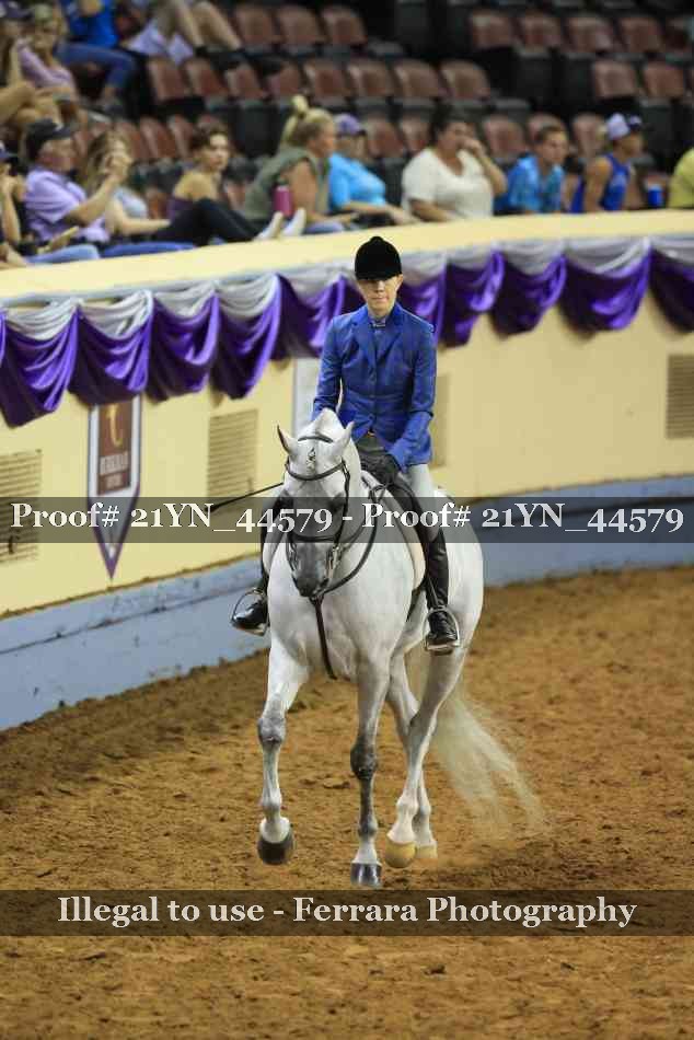 Proof Number 21YN_44579