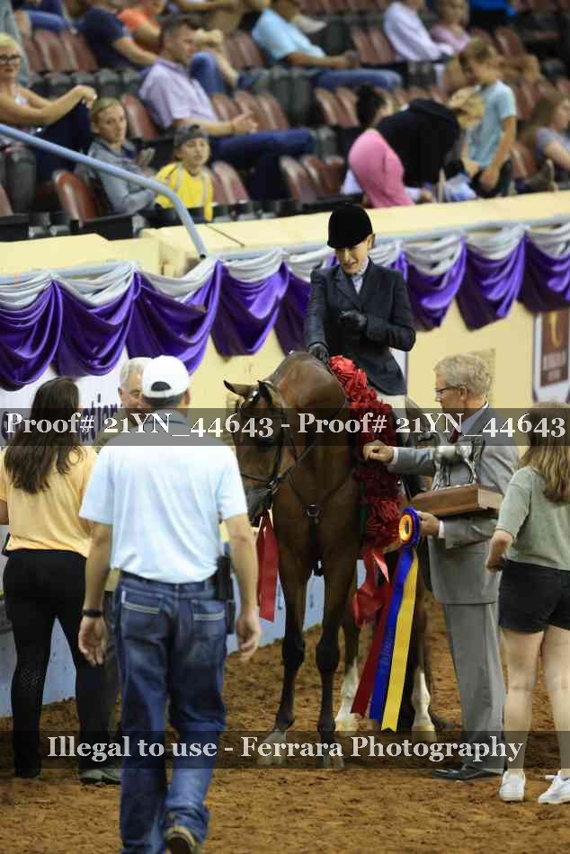 Proof Number 21YN_44643