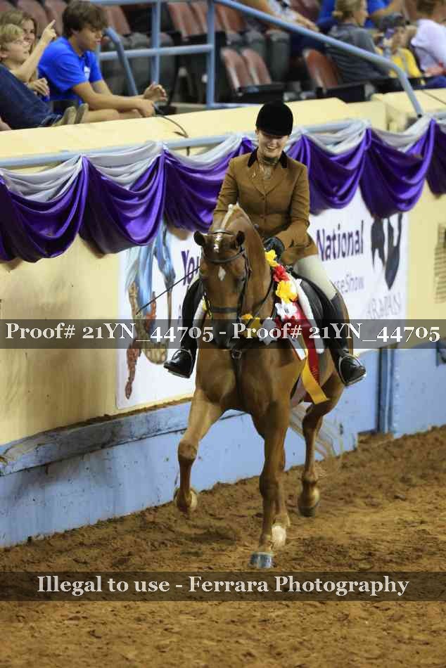 Proof Number 21YN_44705