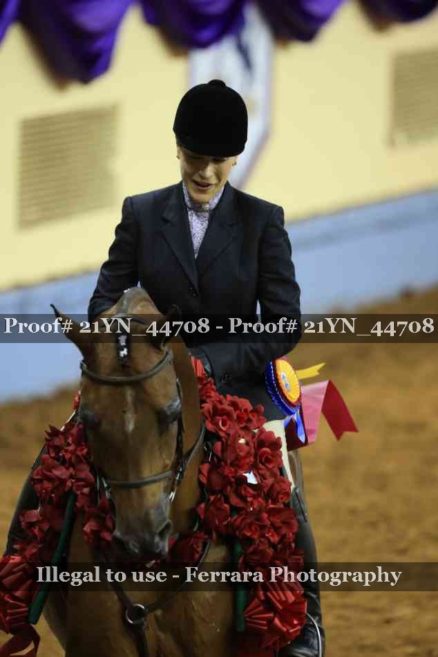 Proof Number 21YN_44708