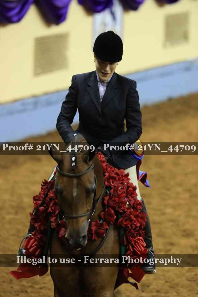 Proof Number 21YN_44709