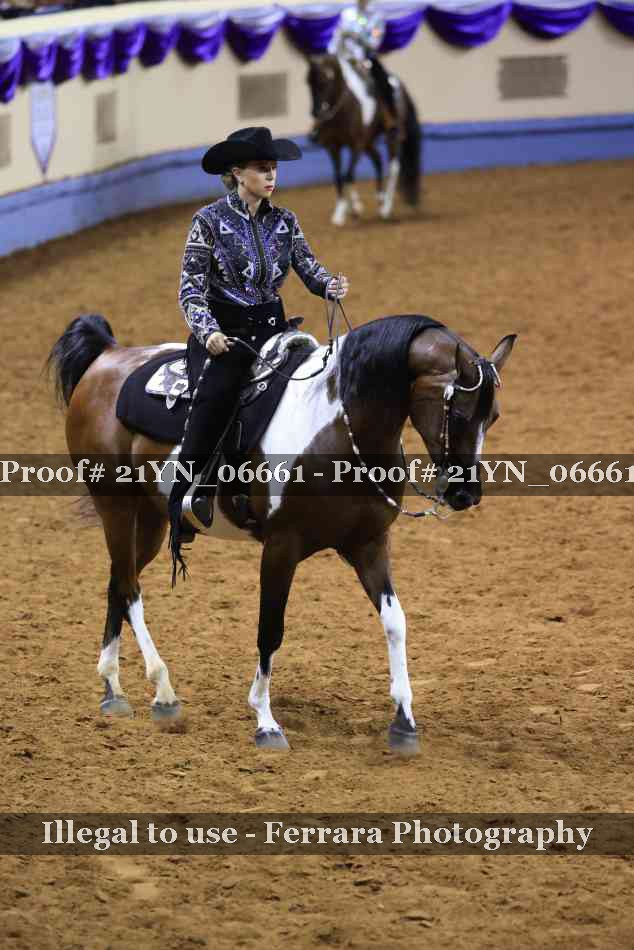 Proof Number 21YN_06661