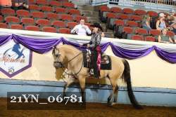 21YN_06781 thumbnail