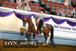 21YN_06783 thumbnail