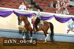 21YN_06785 thumbnail