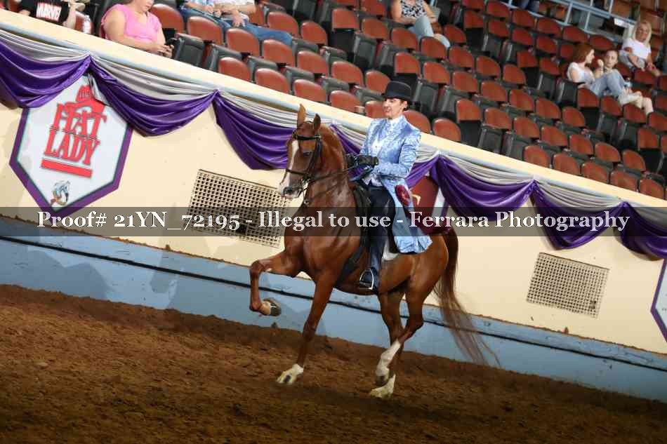 Proof Number 21YN_72195
