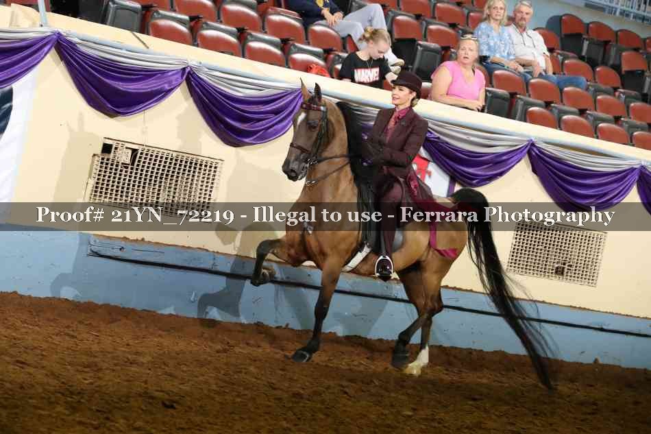 Proof Number 21YN_72219