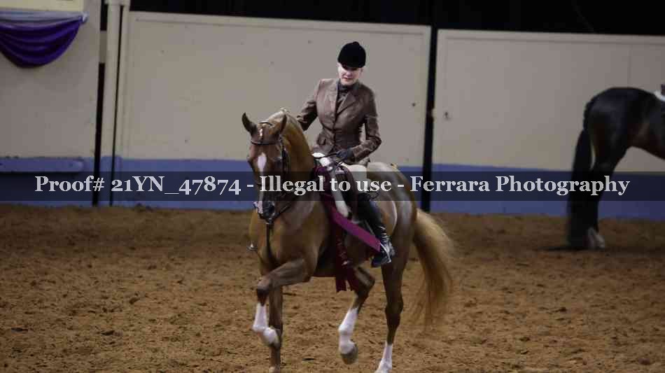 Proof Number 21YN_47874