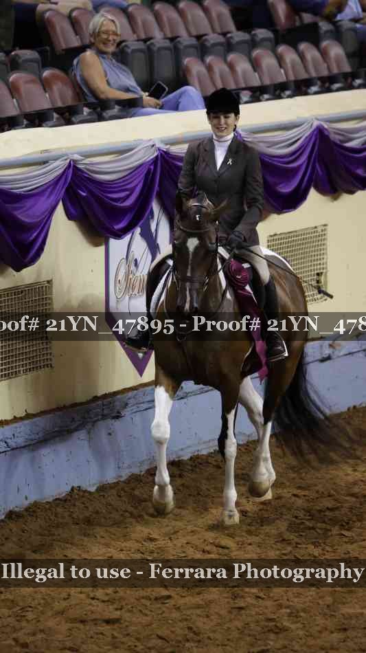 Proof Number 21YN_47895
