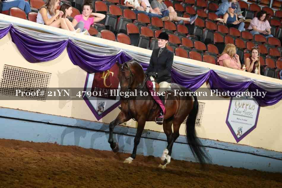 Proof Number 21YN_47901