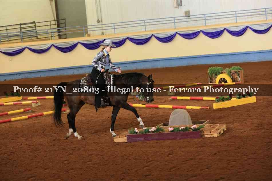 Proof Number 21YN_20803