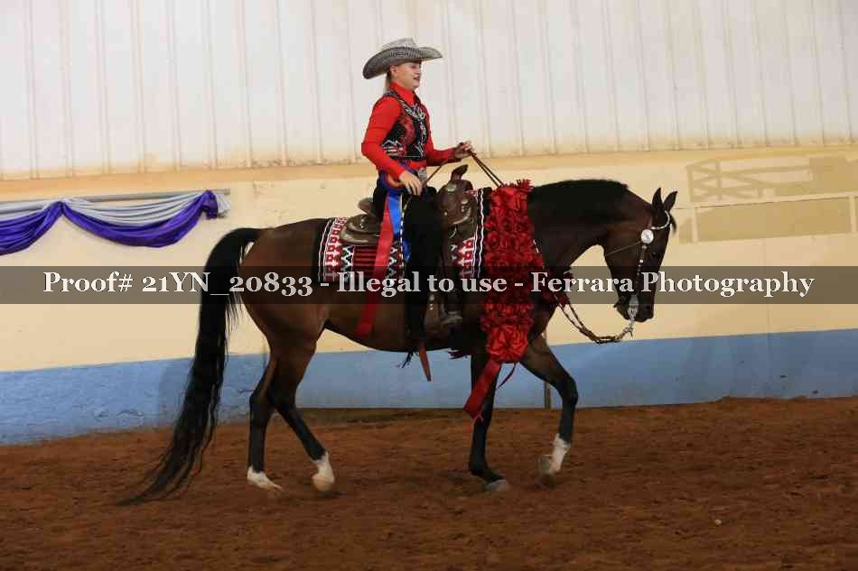 Proof Number 21YN_20833