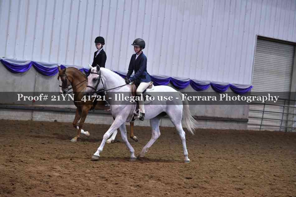 Proof Number 21YN_41721