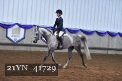 21YN_41729 thumbnail