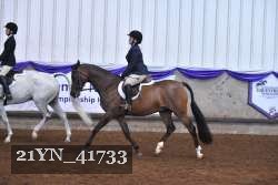 21YN_41733 thumbnail