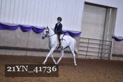 21YN_41736 thumbnail