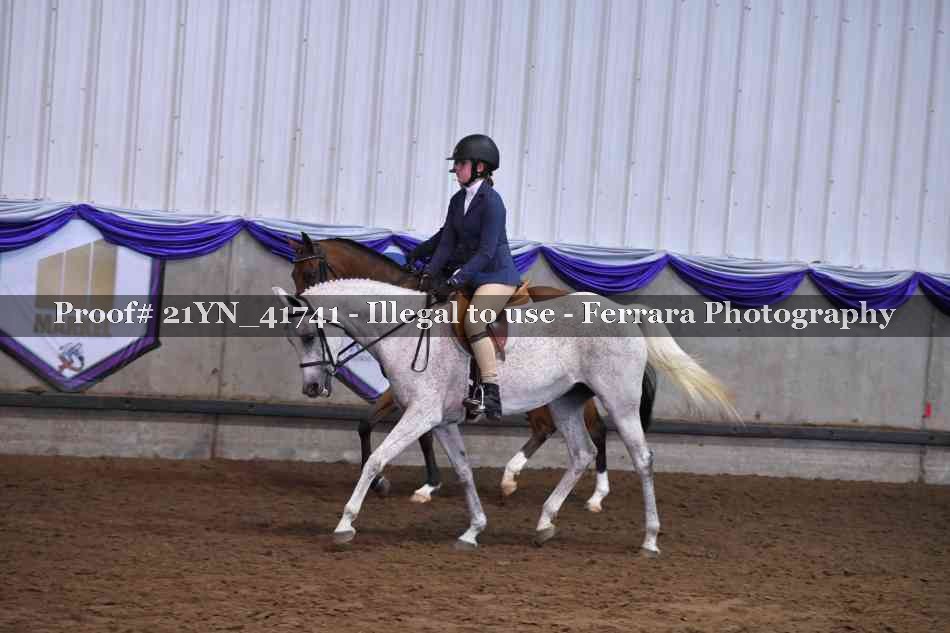 Proof Number 21YN_41741