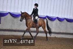 21YN_41742 thumbnail