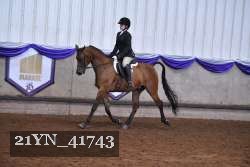21YN_41743 thumbnail