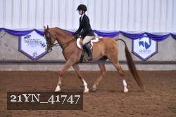 21YN_41747 thumbnail