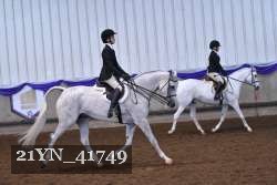 21YN_41749 thumbnail